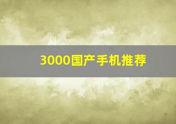 3000国产手机推荐