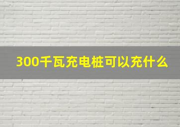 300千瓦充电桩可以充什么