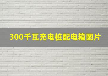 300千瓦充电桩配电箱图片