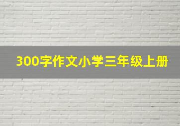 300字作文小学三年级上册