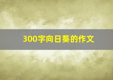 300字向日葵的作文