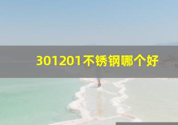 301201不锈钢哪个好