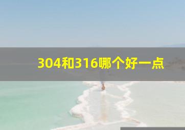 304和316哪个好一点