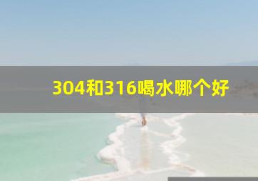 304和316喝水哪个好