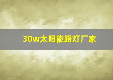 30w太阳能路灯厂家