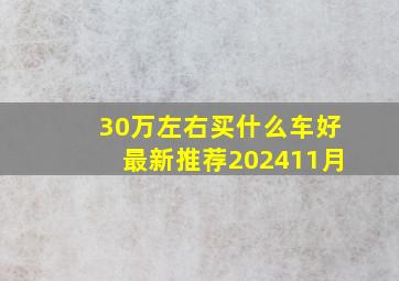 30万左右买什么车好最新推荐202411月