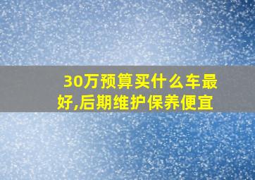 30万预算买什么车最好,后期维护保养便宜