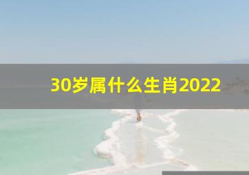 30岁属什么生肖2022