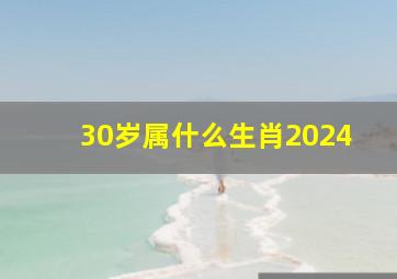 30岁属什么生肖2024