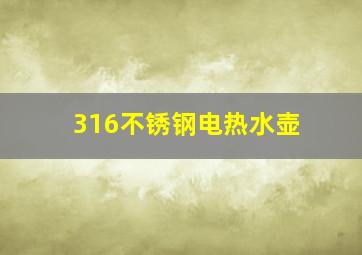 316不锈钢电热水壶