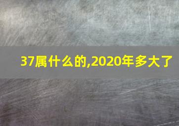 37属什么的,2020年多大了