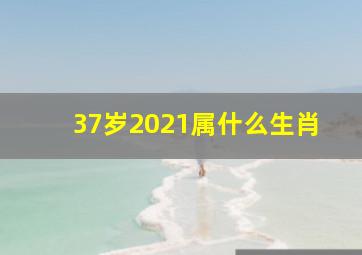 37岁2021属什么生肖