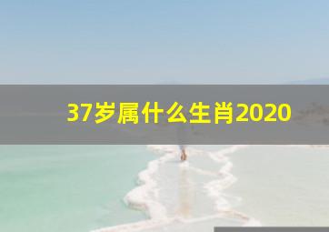 37岁属什么生肖2020