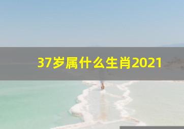 37岁属什么生肖2021