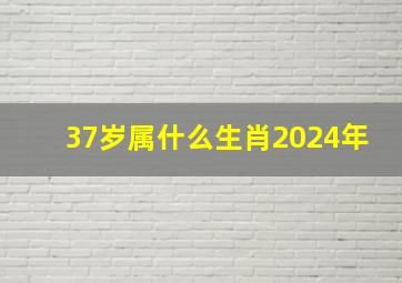 37岁属什么生肖2024年