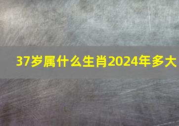 37岁属什么生肖2024年多大