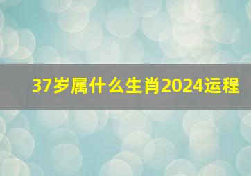 37岁属什么生肖2024运程