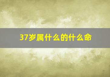 37岁属什么的什么命