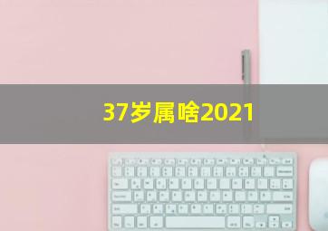 37岁属啥2021