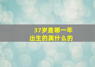 37岁是哪一年出生的属什么的