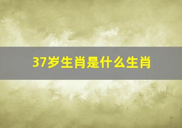 37岁生肖是什么生肖