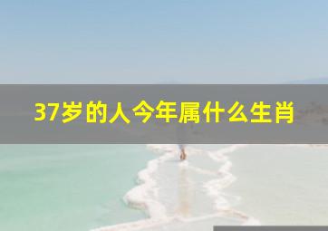 37岁的人今年属什么生肖