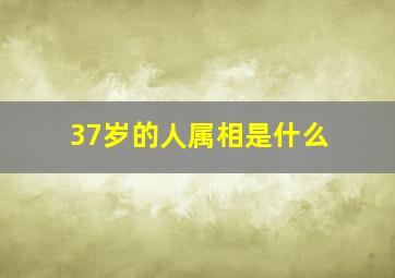 37岁的人属相是什么