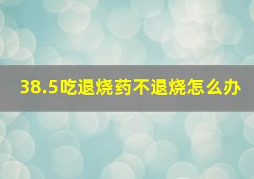 38.5吃退烧药不退烧怎么办