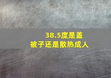 38.5度是盖被子还是散热成人