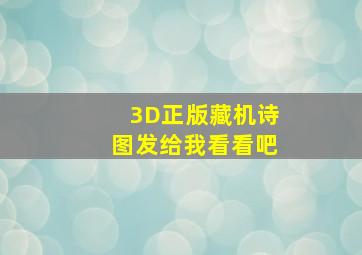 3D正版藏机诗图发给我看看吧