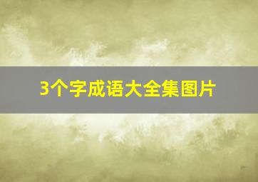 3个字成语大全集图片