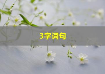 3字词句