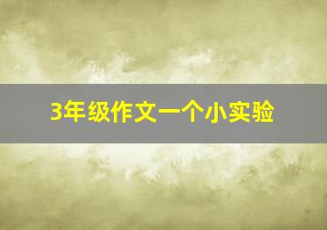 3年级作文一个小实验