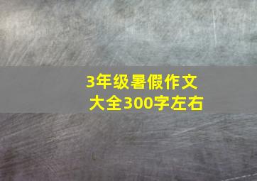 3年级暑假作文大全300字左右