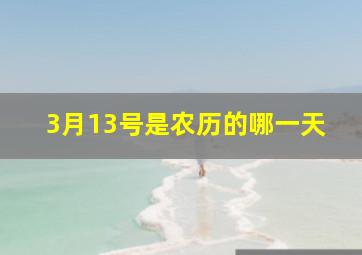 3月13号是农历的哪一天