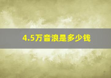 4.5万音浪是多少钱