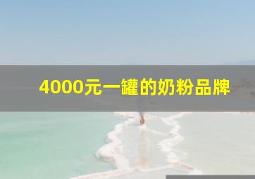 4000元一罐的奶粉品牌