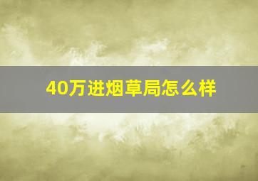 40万进烟草局怎么样