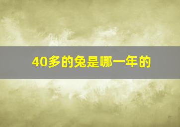 40多的兔是哪一年的