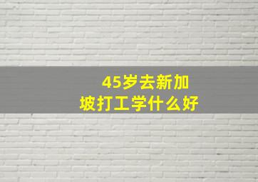 45岁去新加坡打工学什么好