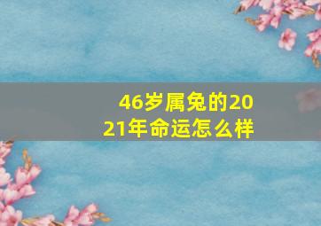 46岁属兔的2021年命运怎么样