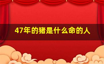 47年的猪是什么命的人