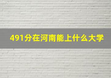 491分在河南能上什么大学