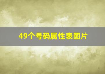 49个号码属性表图片