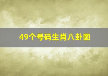 49个号码生肖八卦图