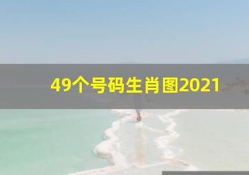 49个号码生肖图2021