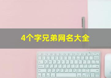 4个字兄弟网名大全