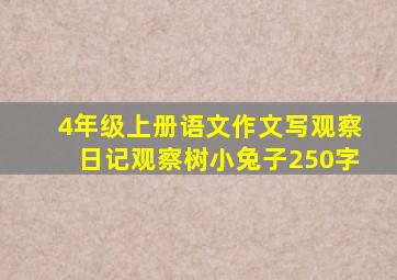 4年级上册语文作文写观察日记观察树小兔子250字