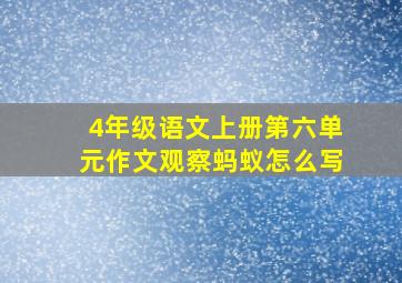 4年级语文上册第六单元作文观察蚂蚁怎么写