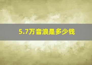 5.7万音浪是多少钱